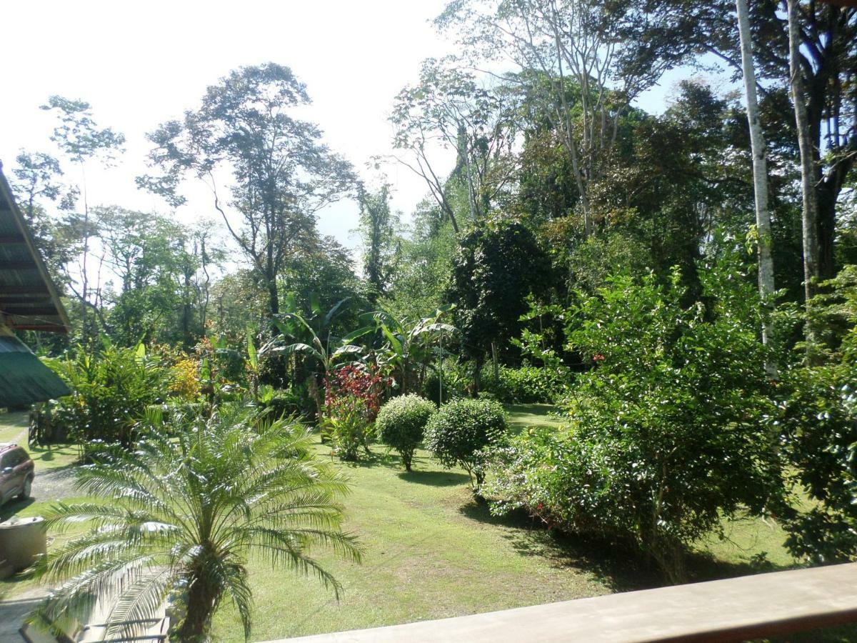 Hotel&Cabinas Nadine Cahuita Exterior foto